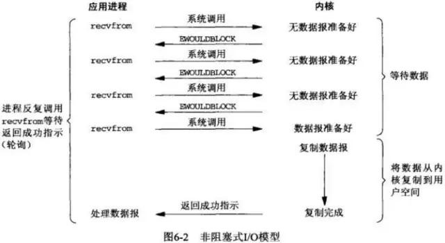 同步非阻塞IO（NIO）